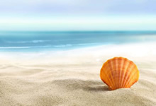 战火重燃：波兰雄狮与斗牛士的足球史诗