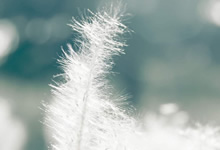 荣耀不灭，浴火重生：勇士总决赛失利后的涅槃之路