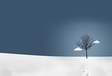 捷克队遭遇“滑铁卢”：欧预赛前景迷雾重重，谁能拨开云雾见光明？