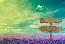 折翼的雄鹰：里尔核心球员伤缺，一场硬仗悬念陡增