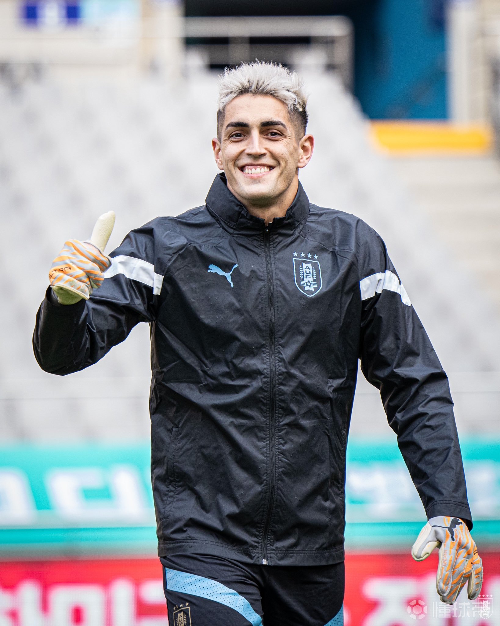 关于西雅图海湾者全力冲击冠军,关键球员备战状态受关注的信息 关于西雅图海湾者全力冲击冠军,关键球员备战状态受关注的信息